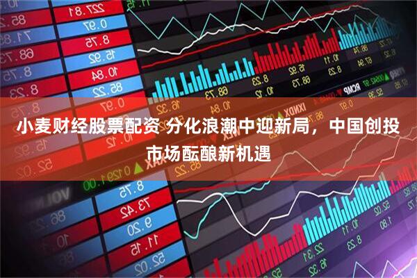 小麦财经股票配资 分化浪潮中迎新局，中国创投市场酝酿新机遇