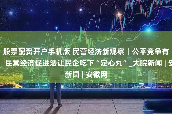 股票配资开户手机版 民营经济新观察｜公平竞争有保障，民营经济促进法让民企吃下“定心丸”_大皖新闻 | 安徽网